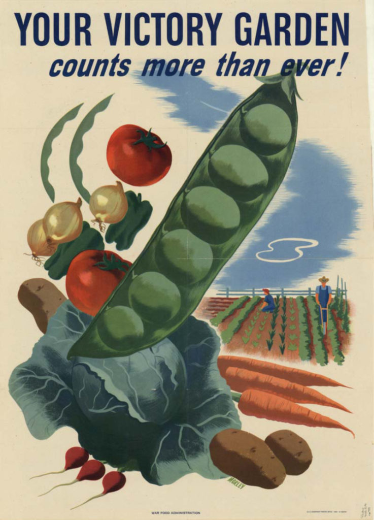 Victory garden