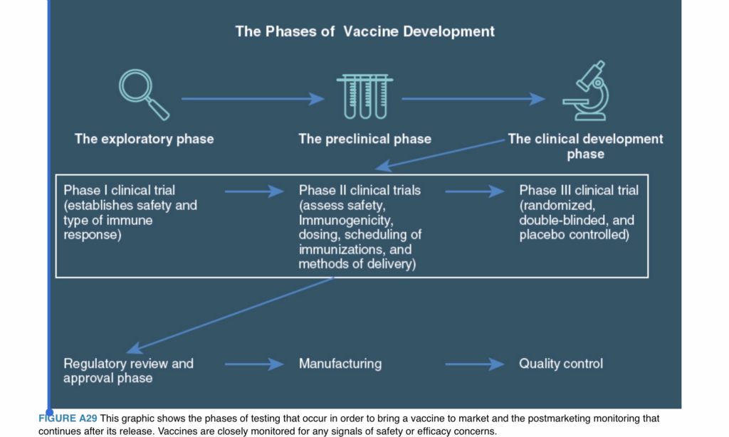 Phases of vaccine development - Let’s Talk Vaccines